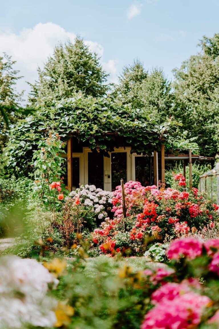 15 Beautiful Ideas for your Cottage Garden