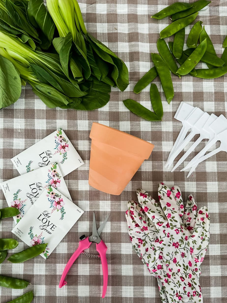 How to Easily Grow a Vegetable Garden