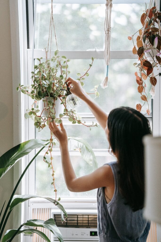 how to hang a plant from ceiling without drilling holes