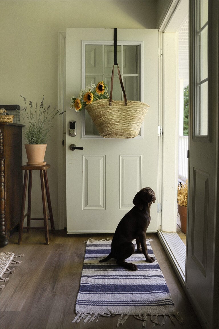 Calling all Pet Owners! We’ve got the Best Mop for you