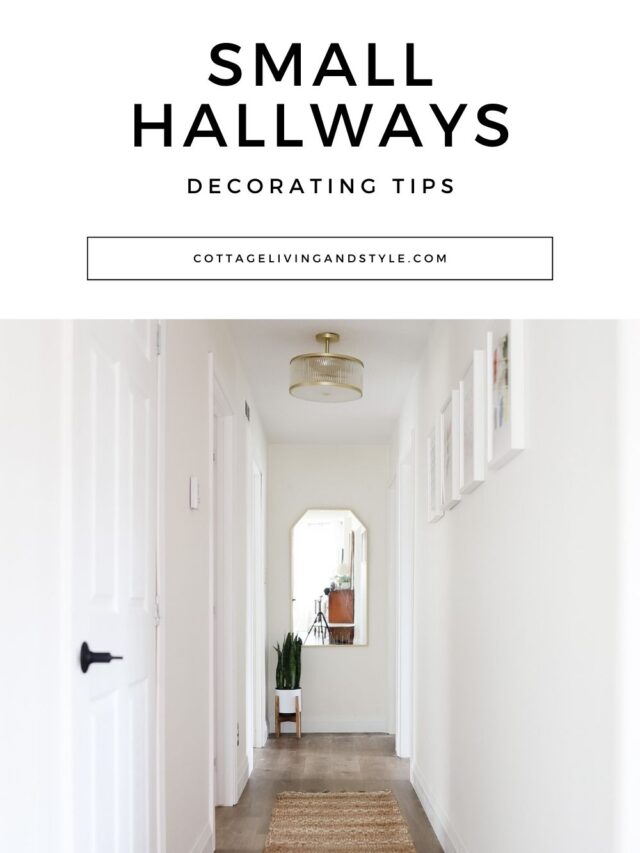 Narrow Hallway Idea: How to Transform your Dark Narrow Hallway